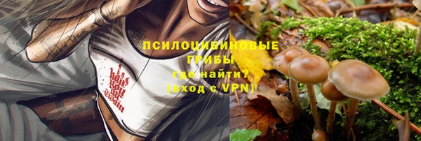 таблы Алексин