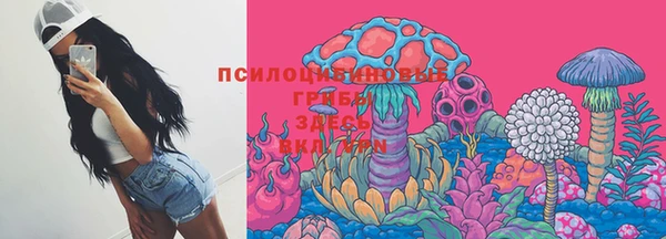 таблы Алексин