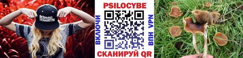 блэк спрут вход  Краснотурьинск  Галлюциногенные грибы Cubensis  хочу  