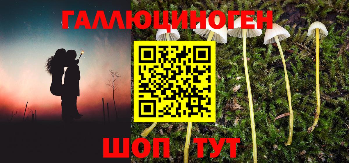 Краснотурьинск  Галлюциногенные грибы мухоморы  сколько стоит  Вход с VPN 