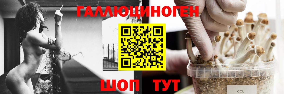 Псилоцибиновые грибы мухоморы Краснотурьинск